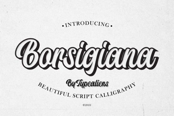 Borsigiana: The Assertive Script Font for Bold Campaigns