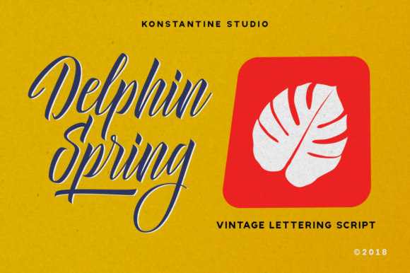 Delphin Spring Typeface for Editorial Design