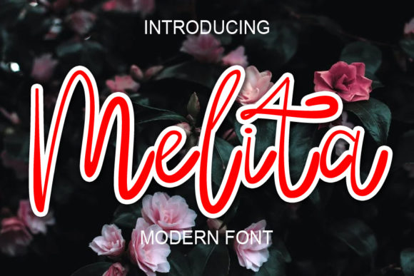Melita: A Modern Script Handwritten Font for Web Design