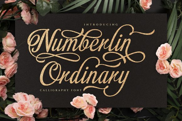 Numberlin Ordinary Font for Elegant Branding