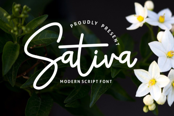 Sativa Font Review: Elegant Script for Designers