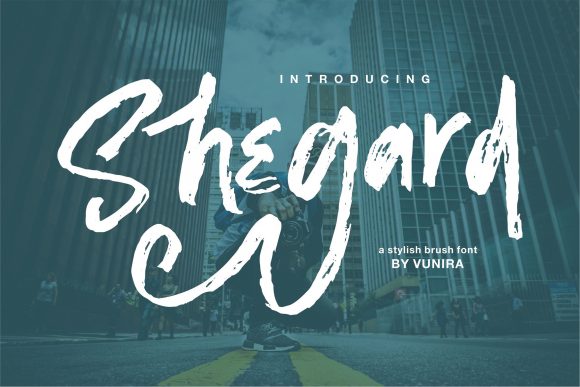 Shegard Font: Elevating Web Design with Elegant Script