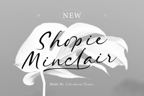 Shopie Minclair Font Review for Branding